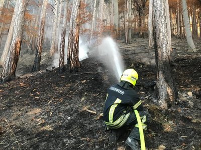 Besondere Waldbrandgefahr - Verbot des Feueranzündens